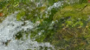 Akış su çalkalama, portre