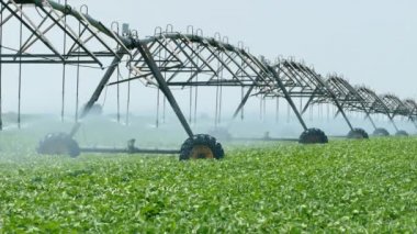 Tarım, soya fasulyesi alanında sulama