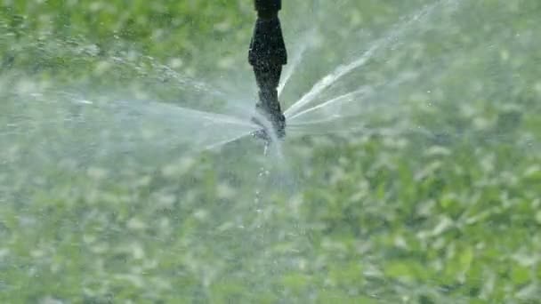 Jordbruk, sojabönor fältet vattning, närbild av sprinkler — Stockvideo