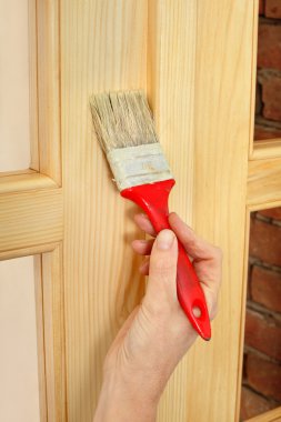 Ev yenileme, ahşap boyama alt kapı, vernikleme