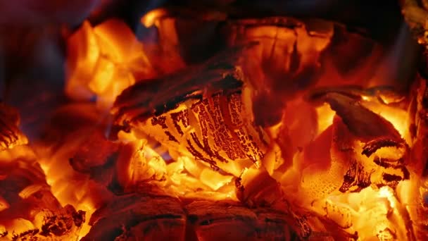 Eld och amber i öppen spis — Stockvideo