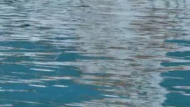 Волны, рябь на поверхности воды — стоковое видео