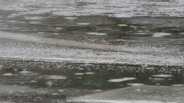 Chuva no asfalto — Vídeo de Stock