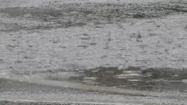 Lluvia en imágenes panorámicas de asfalto — Vídeo de stock