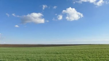 Buğday alan, zaman atlamalı zoom görüntüleri