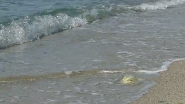 Les vagues de la mer à la plage zoom arrière séquences HD — Video