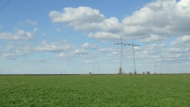 Agricultura, campo de trigo na primavera, zoom out footage — Vídeo de Stock