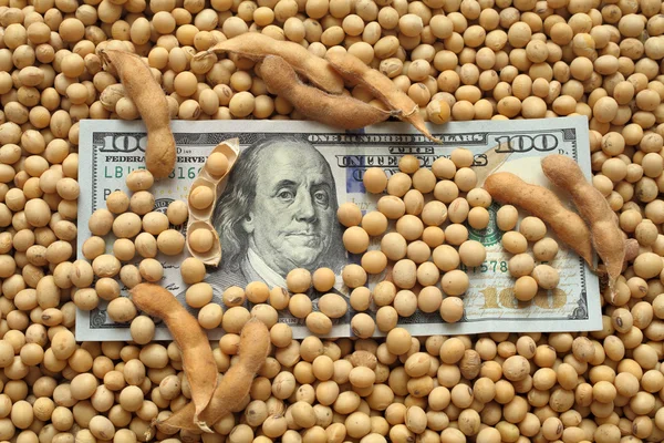 Agrarkonzept, Sojabohnen und Geld — Stockfoto