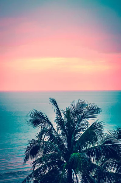 Deniz zemininde palmiye ağacı olan parlak günbatımı, Koh Phangan, Tayland