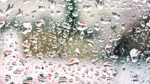 Raindrops falling on the glass — Stock Video