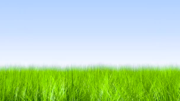 Herbe se déplaçant dans le vent  