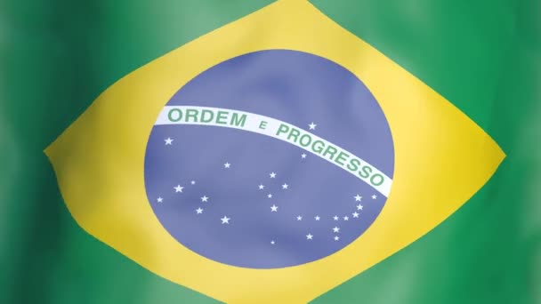 Bandera Brasileña ondeando — Vídeo de stock