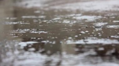 Yağmur su birikintisi arka plan