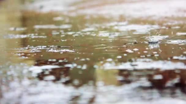 雨 水たまりストック動画 ロイヤリティフリー雨 水たまり動画 Depositphotos 雨 水たまりストック動画 ロイヤリティフリー雨 水たまり動画 Depositphotos