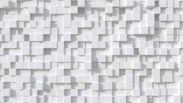 Animáció Looped Animated White Cubes Absztrakt Felület — Stock videók