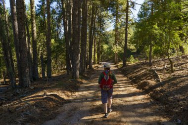 Gün batımında ormanda yürüyen şapkalı genç bir kadın. 