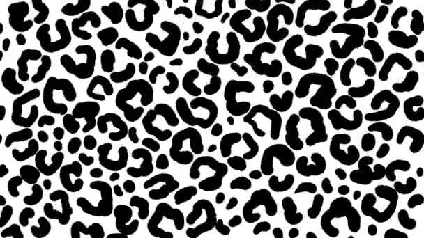 Cartoon Frame Frame Looping Texture Leopard Black White — Stock video