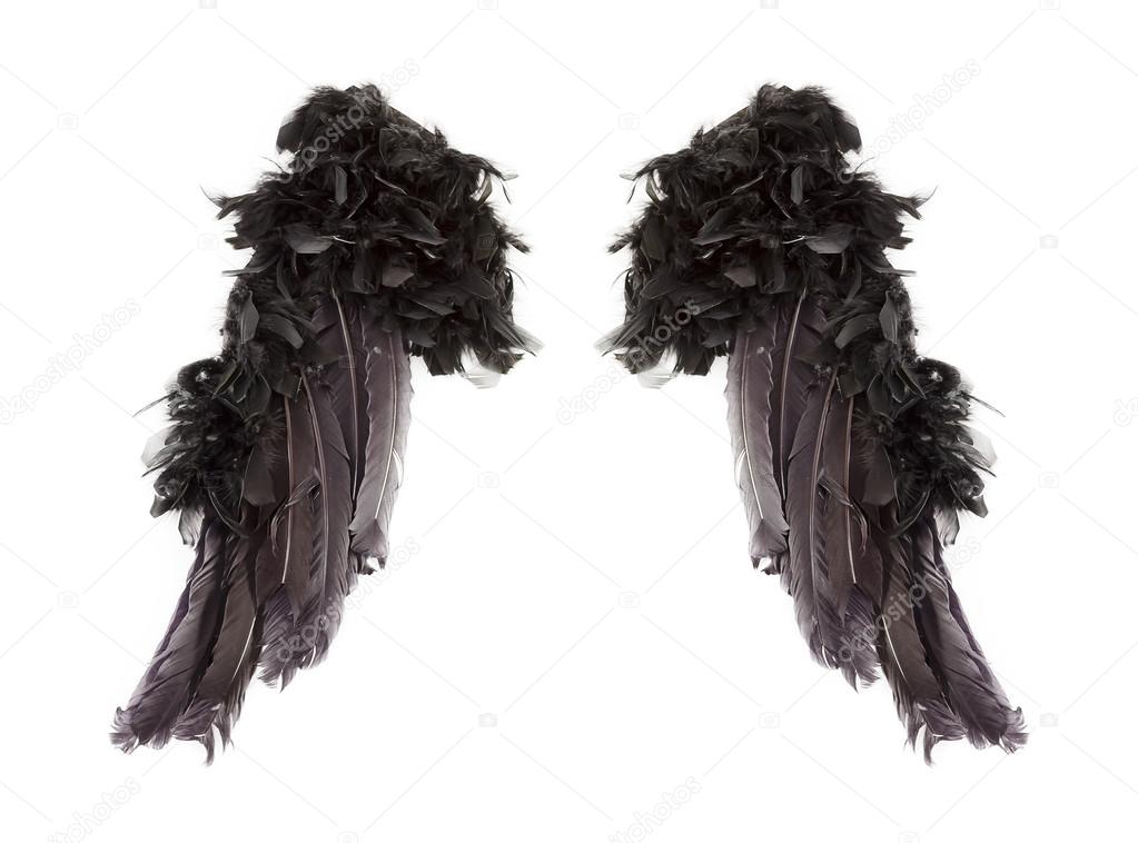 Dark angel wings