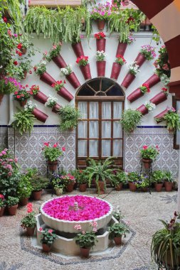 Cordoba avlu