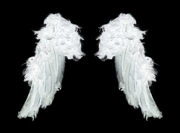 Beyaz Melek kanatları