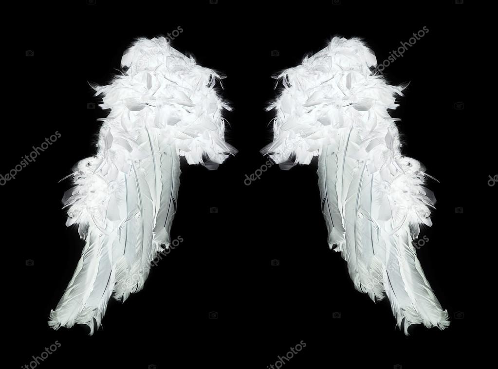 White angel wings