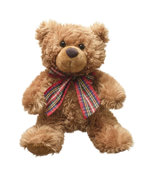 Teddy bear — Stock Photo, Image