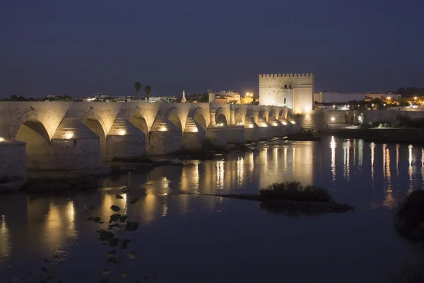 Pont romain à Cordoue — Photo