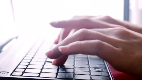 Bir dizüstü bilgisayarın klavyesi — Stok video