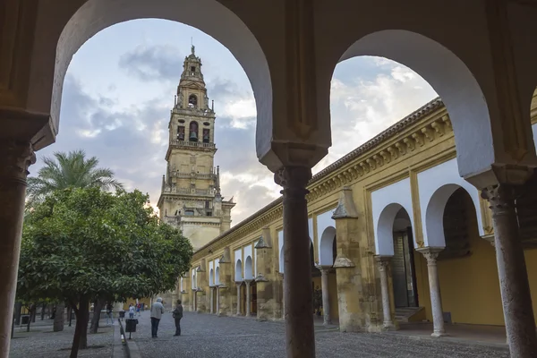 Córdoba 'daki portakal ağacı avlusu ve cami Kulesi — Stok fotoğraf