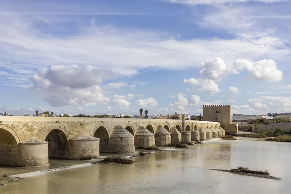 Puente Romano y Torre de Calahorra en Córdoba — Foto de Stock