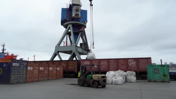 Summer 2020 Vladivostok Russia Sea Container Terminal Large Harbor Crane — Stock Video