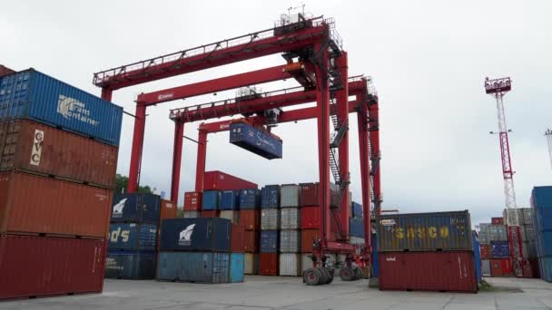 Sommaren 2020 Vladivostok Ryssland Sea Container Terminal Stor Containerkran Drar — Stockvideo