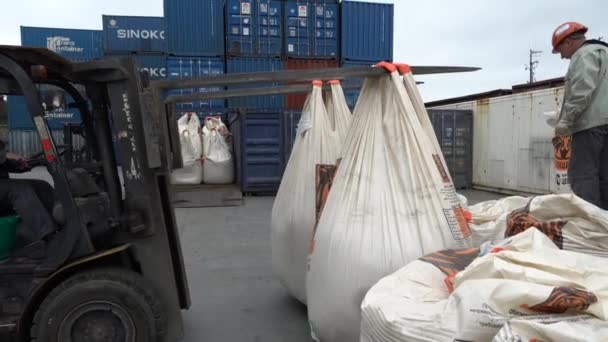 Sommer 2020 Vladivostok Rusland Søcontainerterminal Lastere Indlæse Tunge Poser Cement – Stock-video