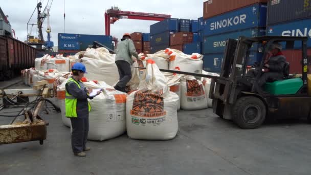 Summer 2020 Vladivostok Rússia Sea Container Terminal Carregadores Carregam Sacos — Vídeo de Stock