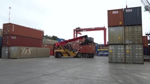 Zomer 2020 Vladivostok Rusland Zeecontainerterminal Reachstacker Laadt Een Container Een — Stockvideo