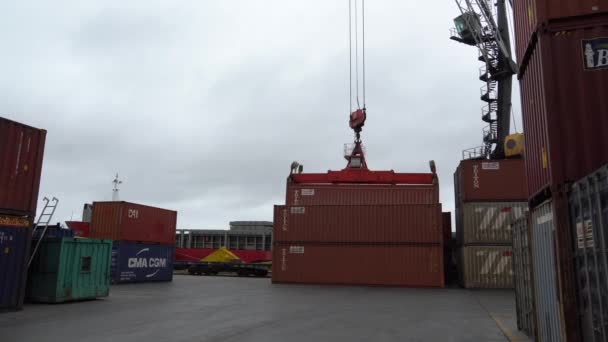 Sommaren 2020 Vladivostok Ryssland Sea Container Terminal Stor Hamnkran Lastar — Stockvideo