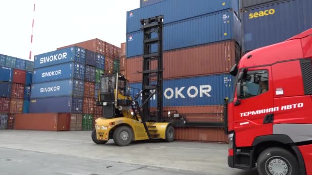 Sommaren 2020 Vladivostok Ryssland Sea Container Terminal Reachstacker Lastar Container — Stockvideo
