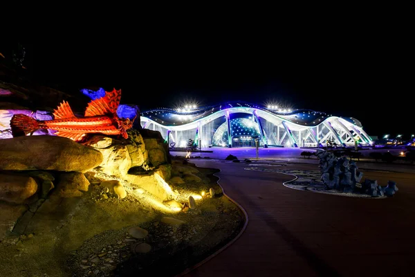 Océanarium Primorsky Sur Île Russe Illumination Nocturne Océanarium Primorsky — Photo