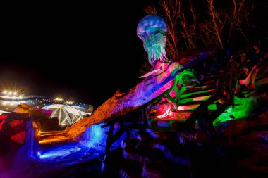 Rus Adası 'ndaki Primorsky Okyanusu. Primorsky Akvaryumu 'ndaki deniz yaşamının güzel akşam aydınlanması