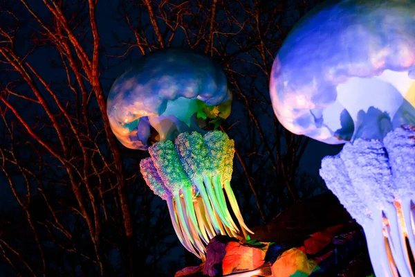 프리모 세아니움 러시아 프리모 수족관에 생물의 모습을 아름다운 — 스톡 사진