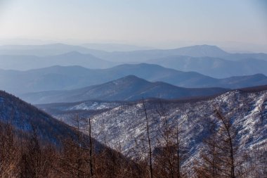Çıplak ağaçlar ve köknar ağaçlarıyla kaplı karla kaplı dağların manzarası