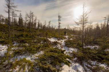 Tukuringra sırtında gün batımı. Güzel kış günbatımı Dağın tepesinde.