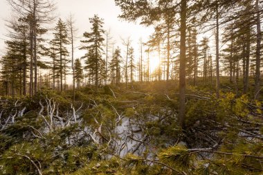 Tukuringra sırtında gün batımı. Güzel kış günbatımı Dağın tepesinde.