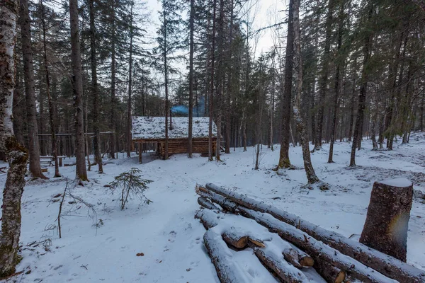 Naturaleza Prístina Reserva Zeya Una Choza Invierno Madera Encuentra Entre — Foto de Stock