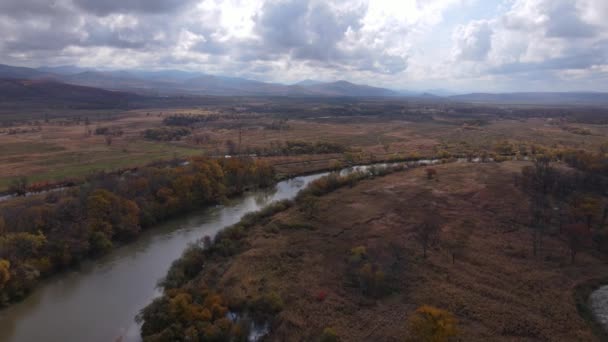 Vista Desde Arriba Cámara Vuela Sobre Pequeño Río Tranquilo Durante — Vídeo de stock