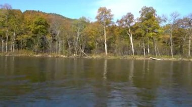 Hareket eden bir tekneden görüntü. Wooded Hills, Bolshaya Ussurka Nehri 'nin arka planına doğru ilerliyor.
