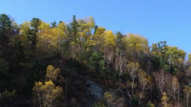 Hareket eden bir tekneden görüntü. Wooded Hills, Bolshaya Ussurka Nehri 'nin arka planına doğru ilerliyor.