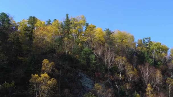 Vista Una Barca Movimento Colline Boscose Spazzare Sullo Sfondo Del — Video Stock