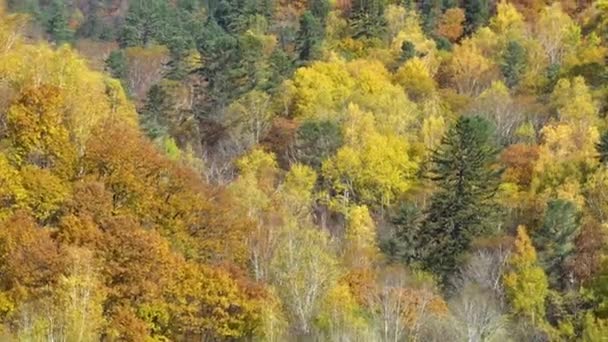 Vista Una Barca Movimento Colline Boscose Spazzare Sullo Sfondo Del — Video Stock