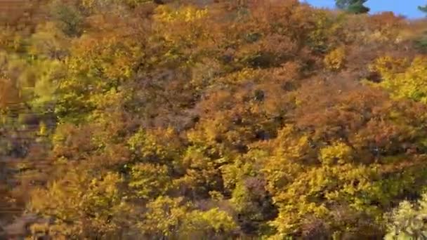 从一艘移动的船上看到的 森林覆盖的山丘在Bolshaya Ussurka河的背景下横扫 — 图库视频影像